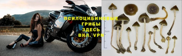 jwh Аркадак