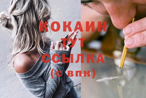 твердый Арсеньев