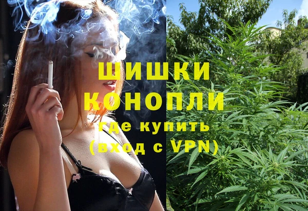 твердый Арсеньев